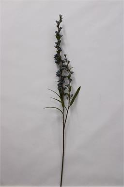 30" Flowering Astilbe - Grey