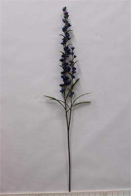 30" Flowering Astilbe - Blue