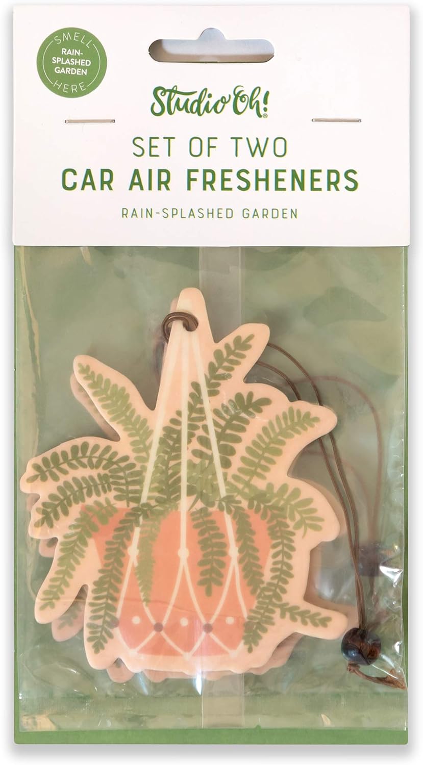 Hanging Fern Car Air Freshner