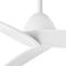 Liv 60" Coastal Fan