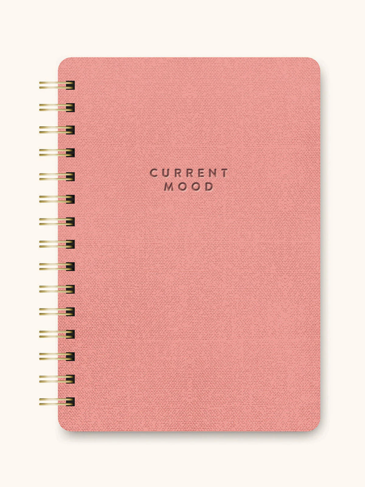 Current Mood Notebook - Coral