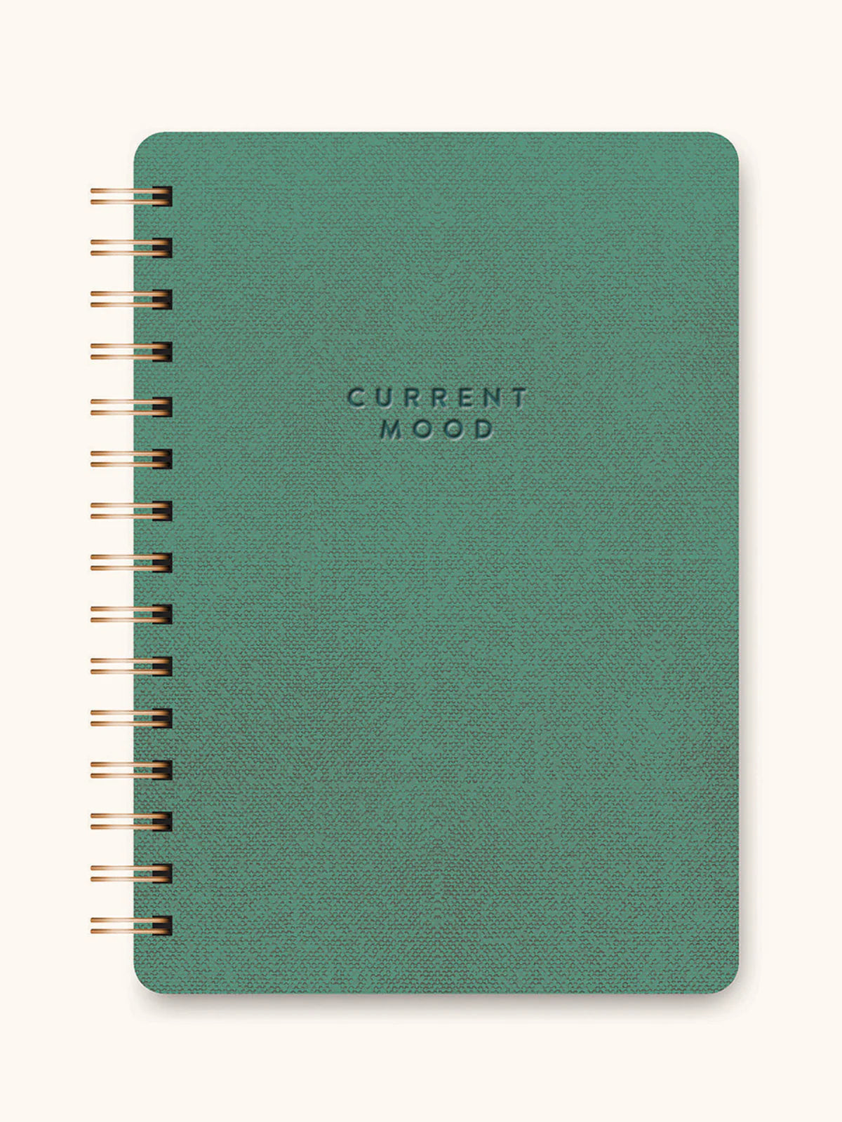 Current Mood Notebook - Green