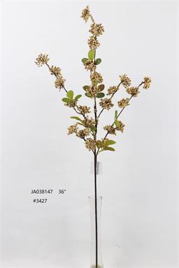 36" Berry Spray - Beige
