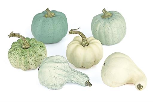 Bag/6 Mixed Pumpkin Gourd