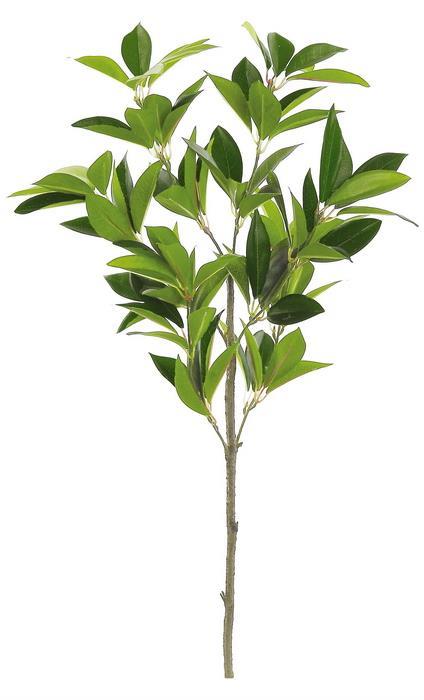 Myrtle Leaf Branch, 28"/Green