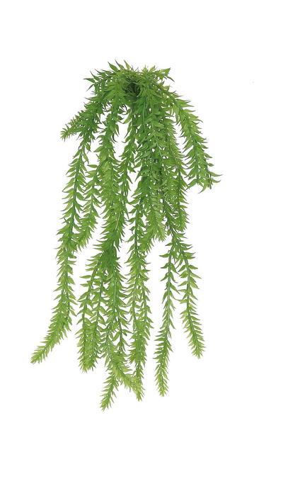 Thistle Tassel Grass, 15"/Grn