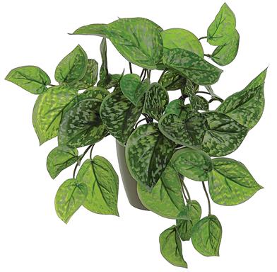 11" Ghost Leaf in Pot - G/Grey