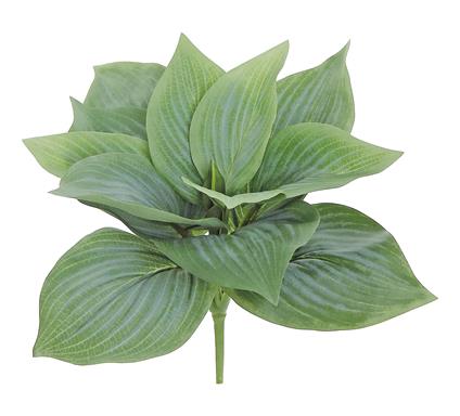 10" Hosta Leaf Plant - Green