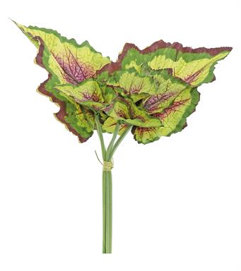 16" Begonia Leaf Bundle, YBU