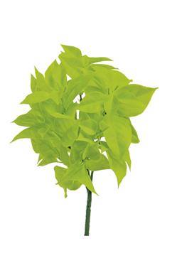 11.8" Gardenia Leaf Bush - Grn