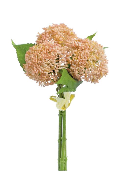 11" Sedum Bundle