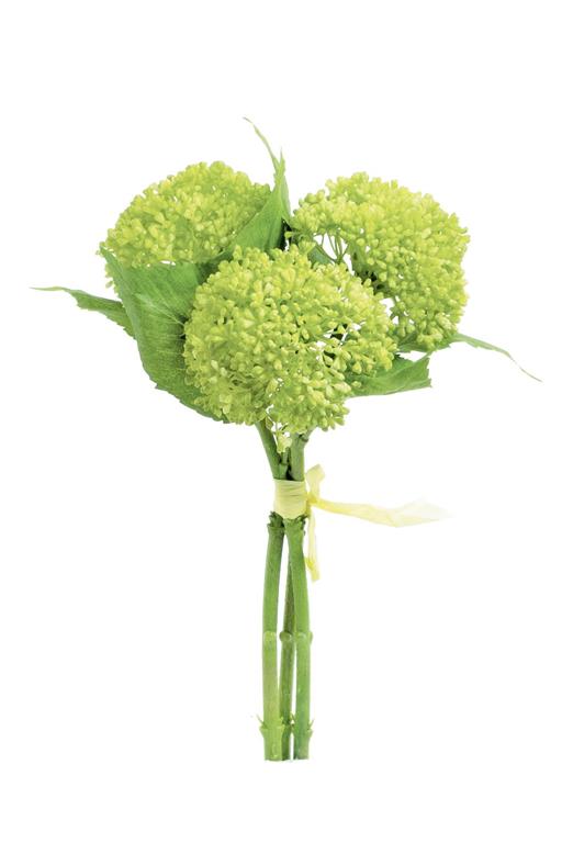11" Sedum Bundle