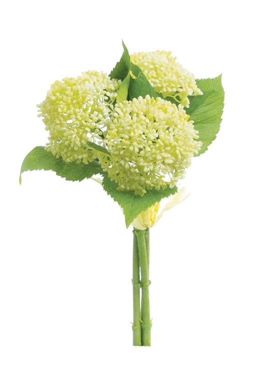 11" Sedum Bundle