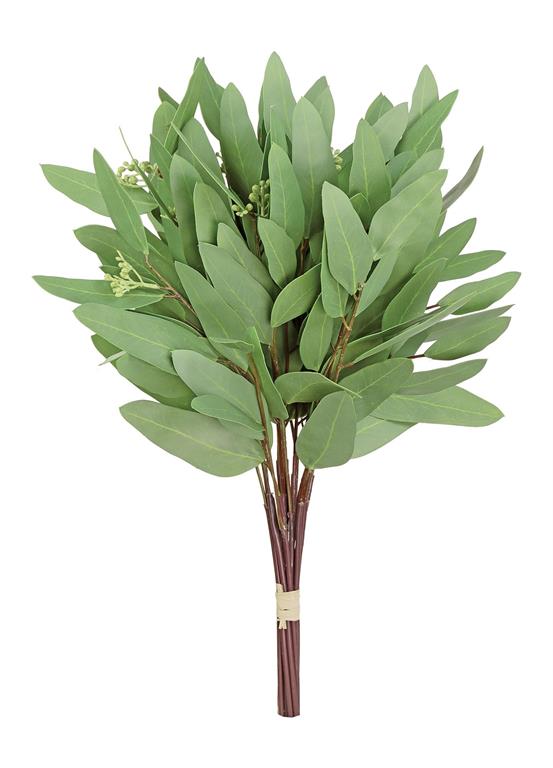 Narrow Leaf Eucalyptus, 16" Gr