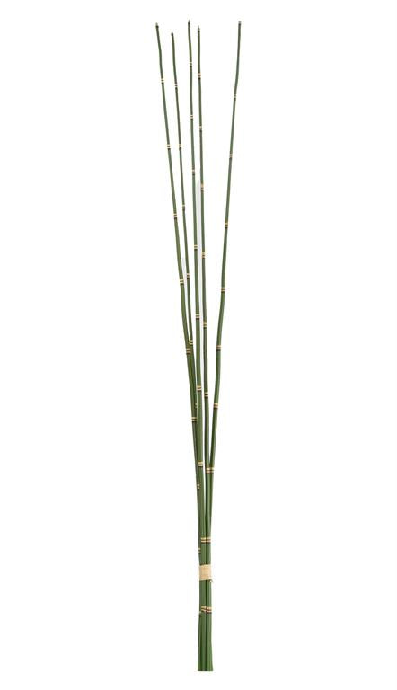 39" Bamboo Bundle x5 - Green