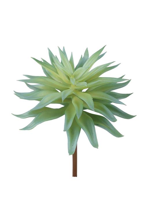 Houseleek Pick, 6"/Blue