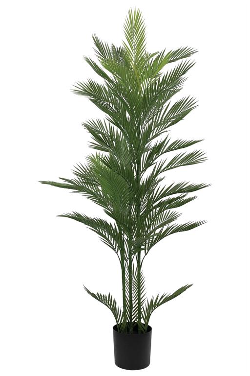 Mini Palm Tree in Pot, 6' Grn