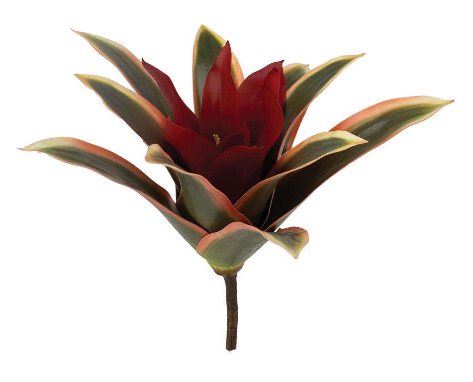 Bromeliad Plant, 7.5"/Burgundy