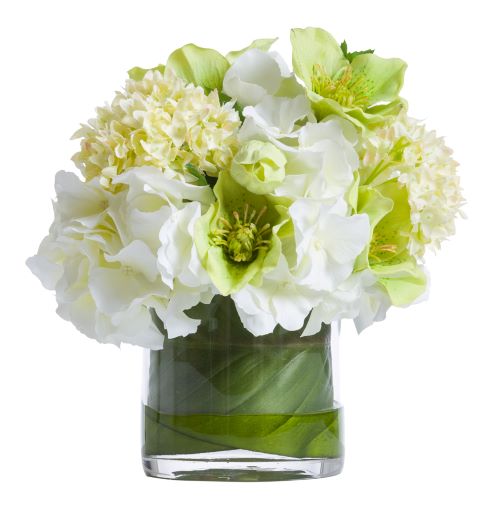 Green/Wht Hydrangea