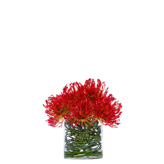Pincushion Flower, 10"/Red