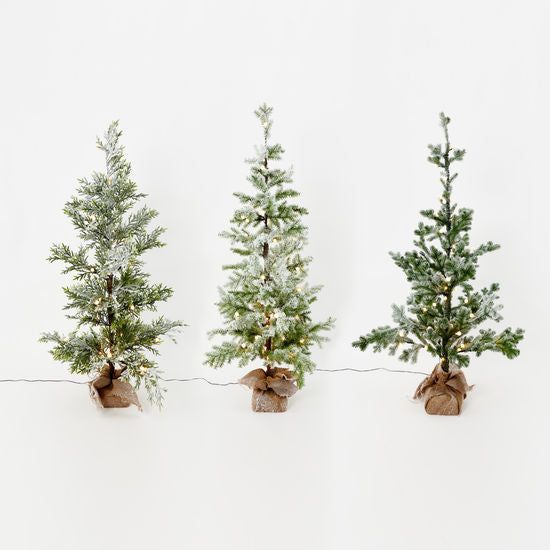 59" Snowy Evergreen Trees