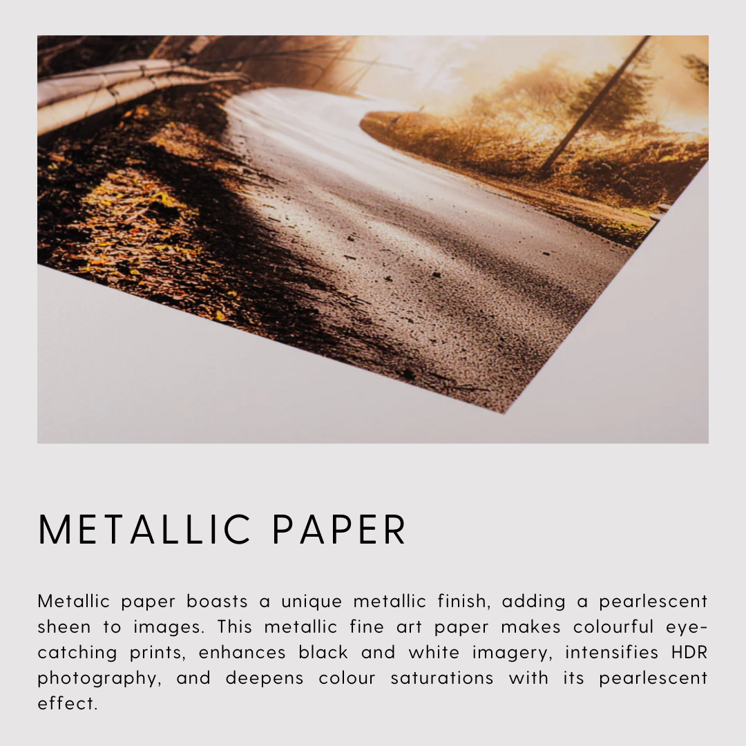 Metallic Paper Print