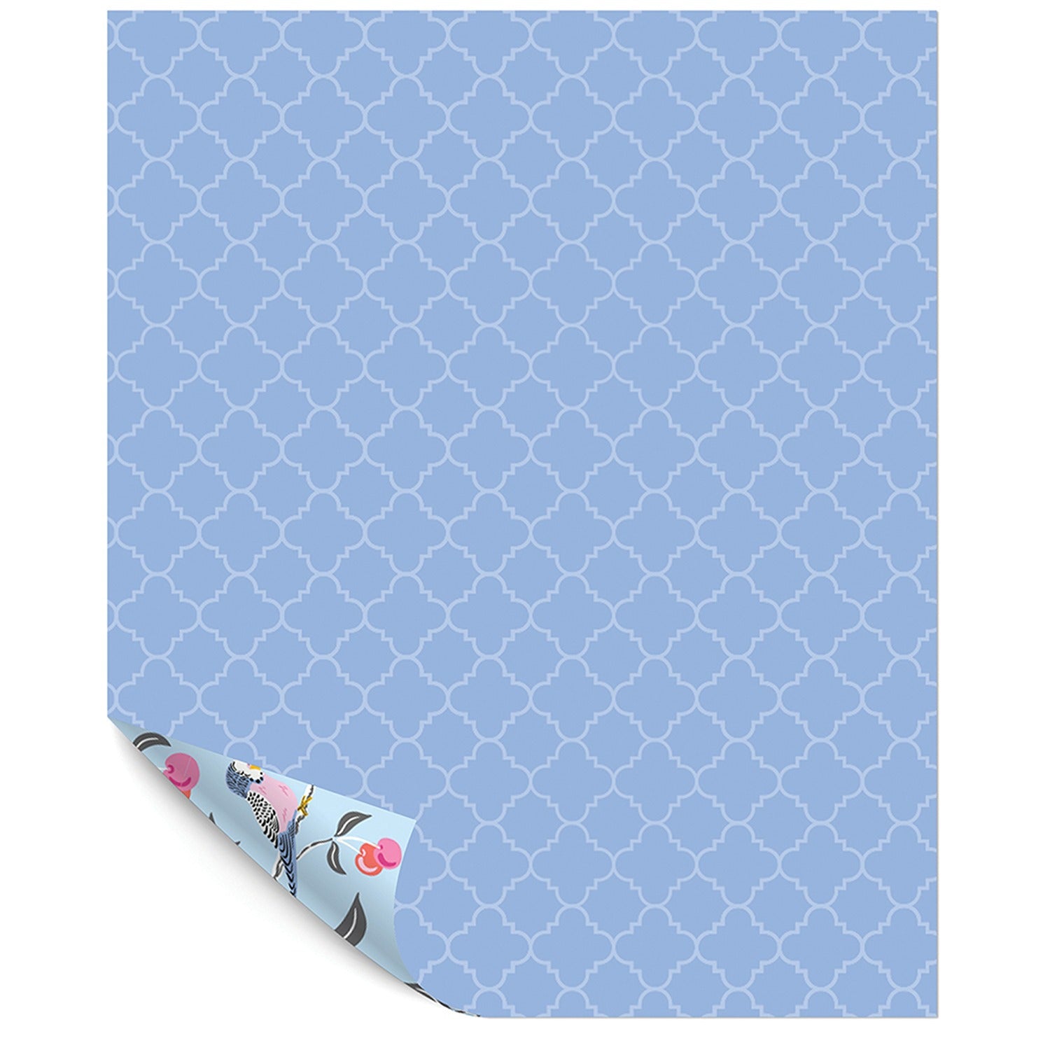 Bird/Cherry Gift Wrap