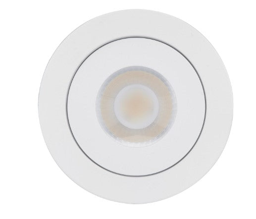 4'' Round Gimbal Downlight with Remote Driver