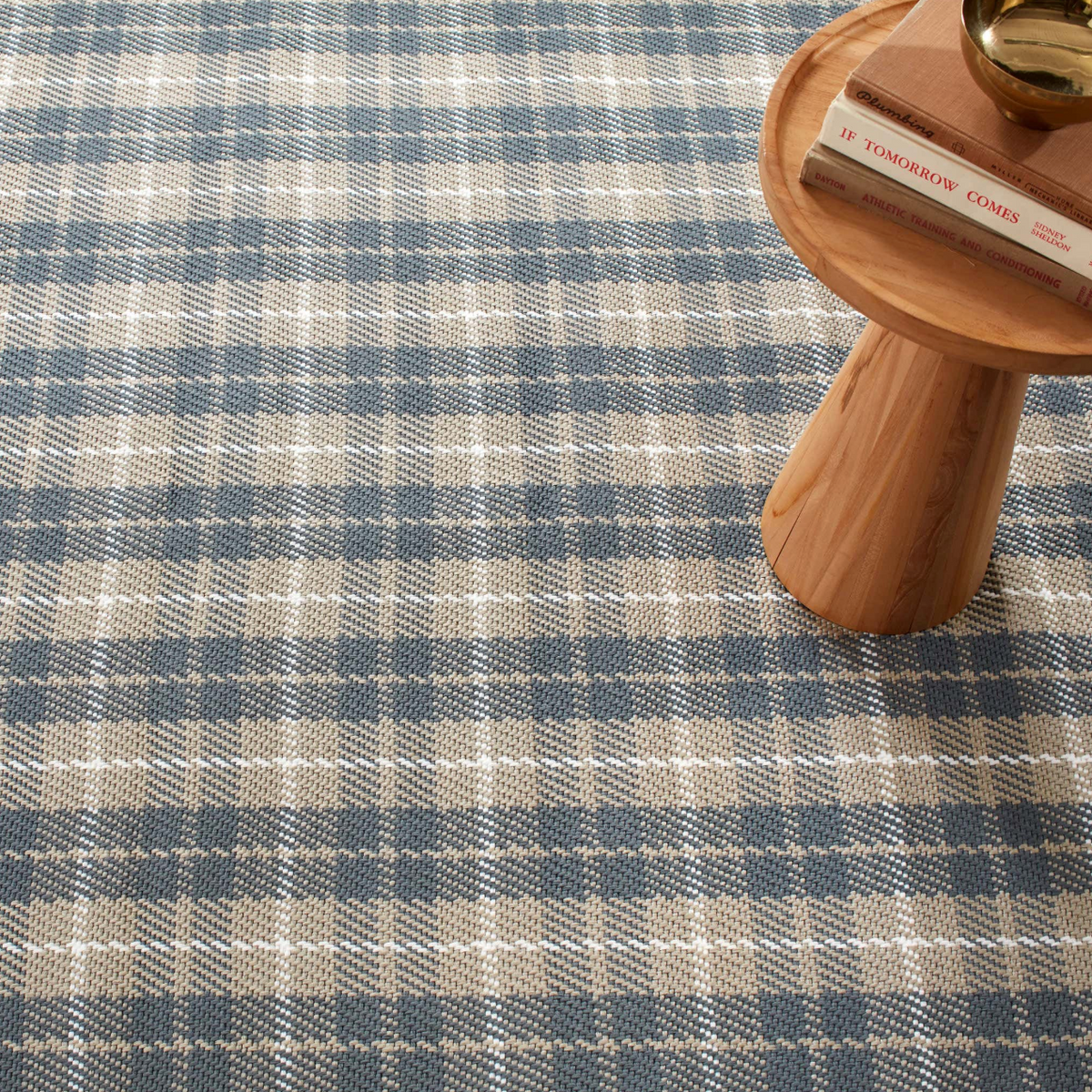 Lakeville Plaid Indoor/Outdoor Rug