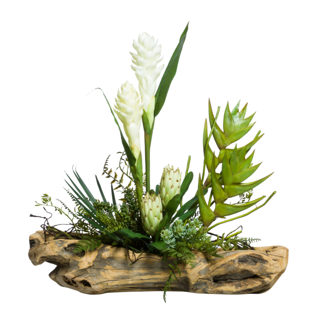 Tropical Succulent, 26"/Wood