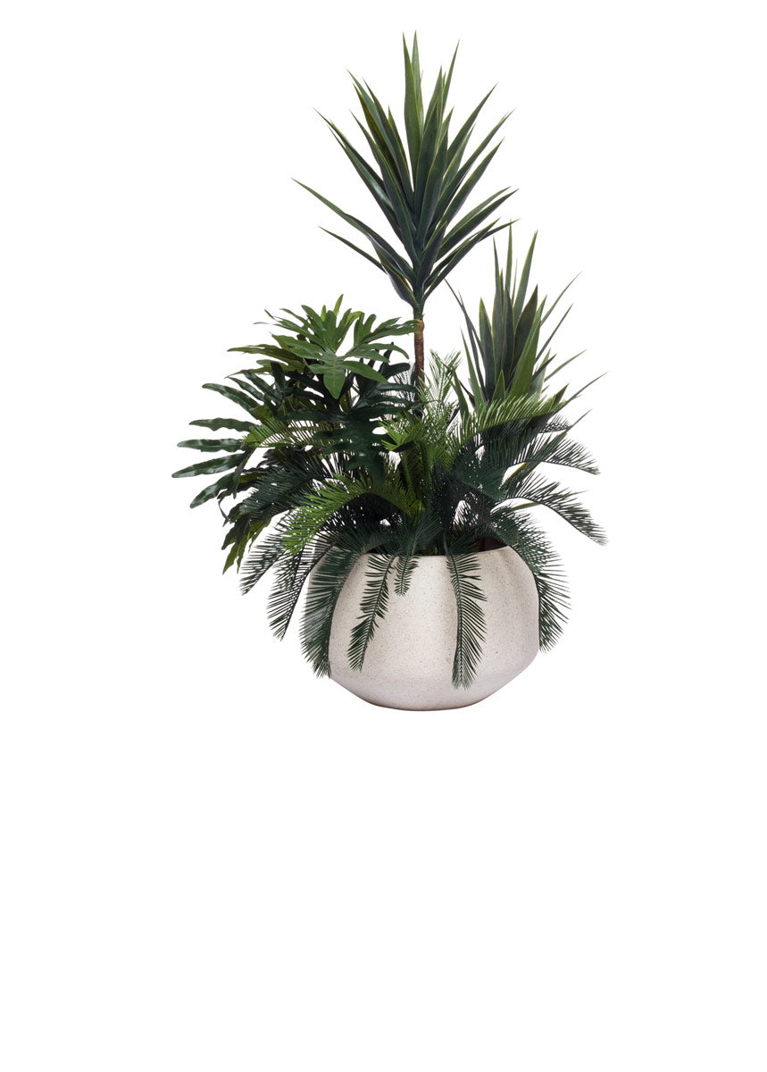 Yucca Combo, Sandstone Pot