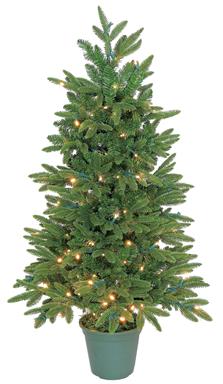 4' Lit Fraser Fir Tree in Pot