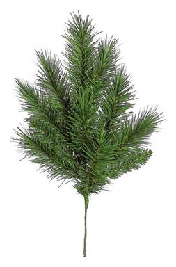 2" Calgary Spruce