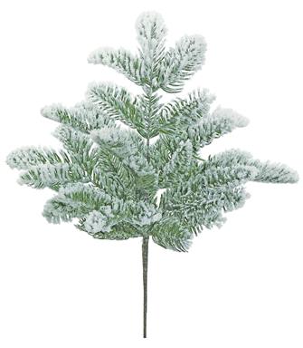 19" Snowy Noble Fir Bush