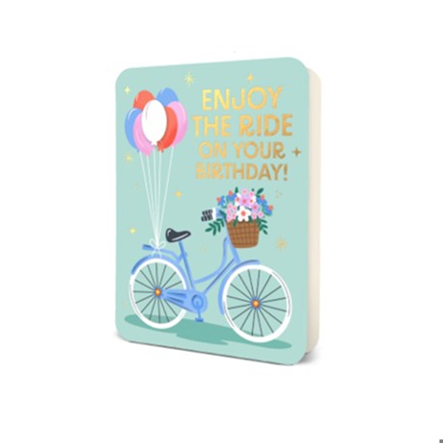Enjoy the Ride Bday Card
