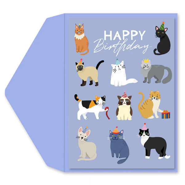 Party Cats Happy Birthday Card