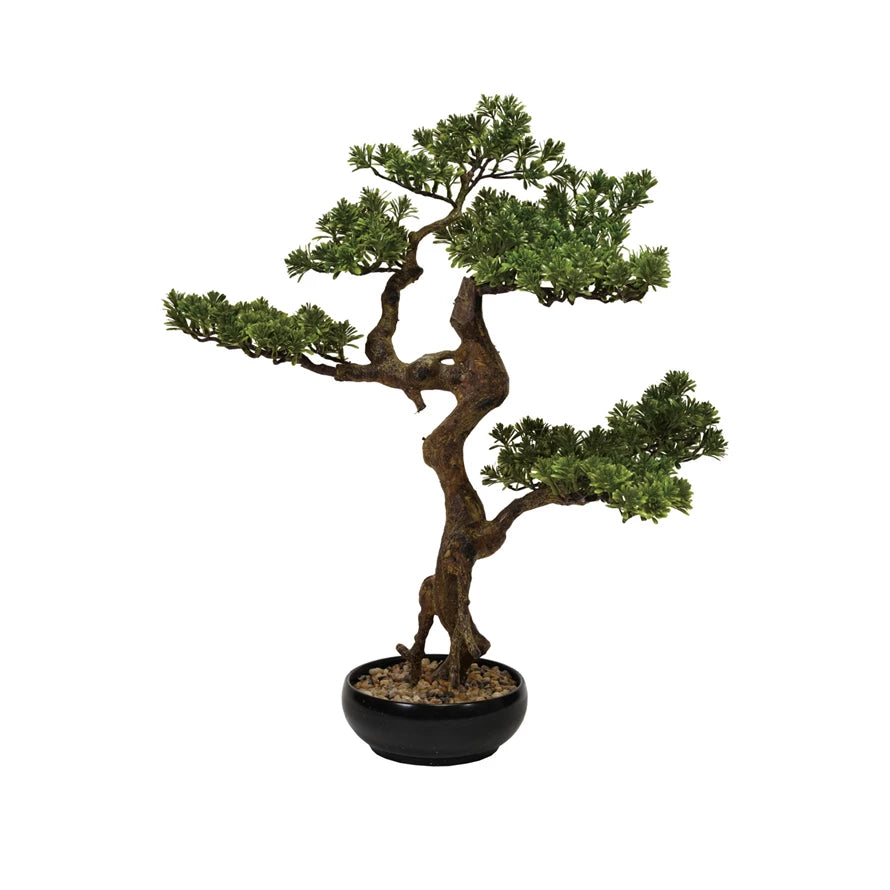 20" Potted Bonsai Tree