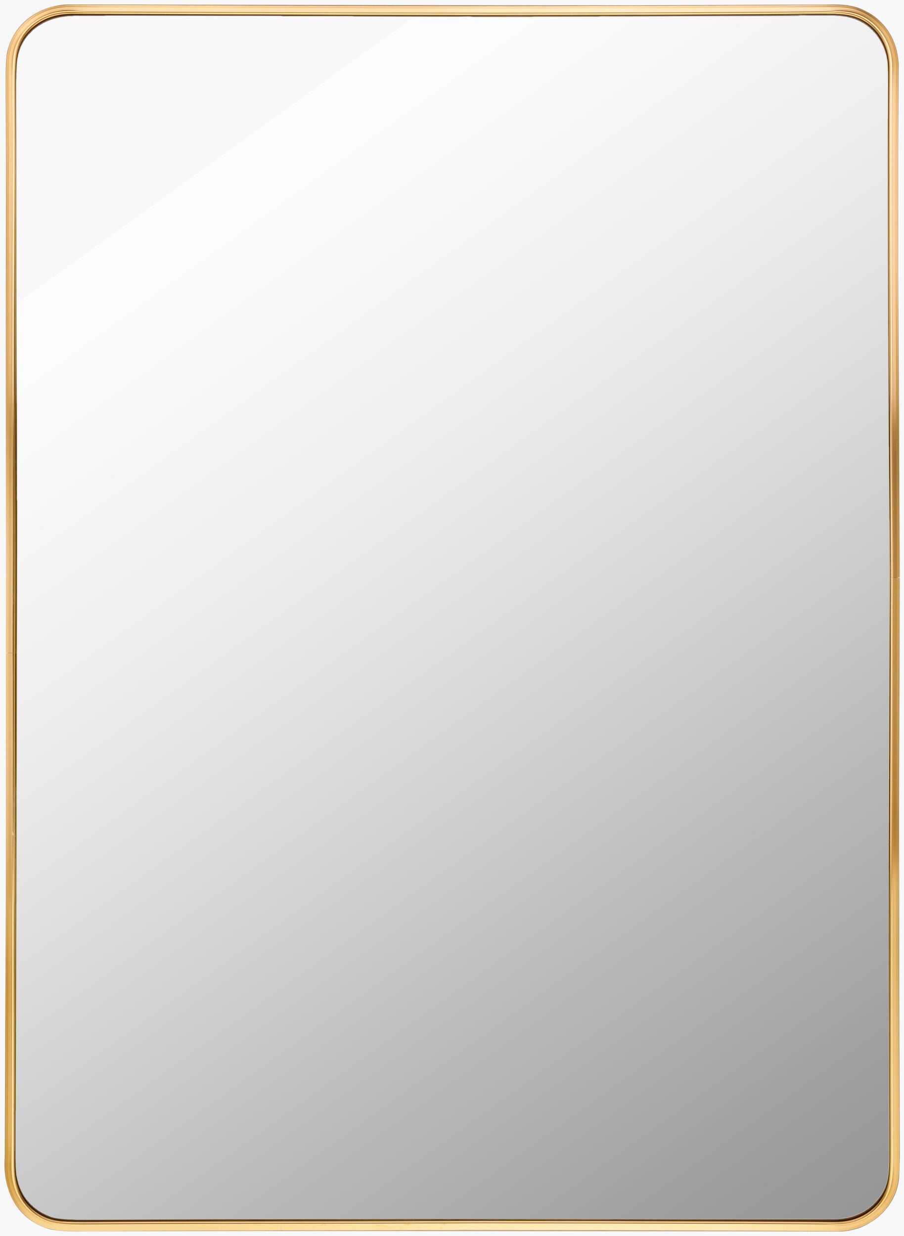 Aranya Mirror, Gold/20x30