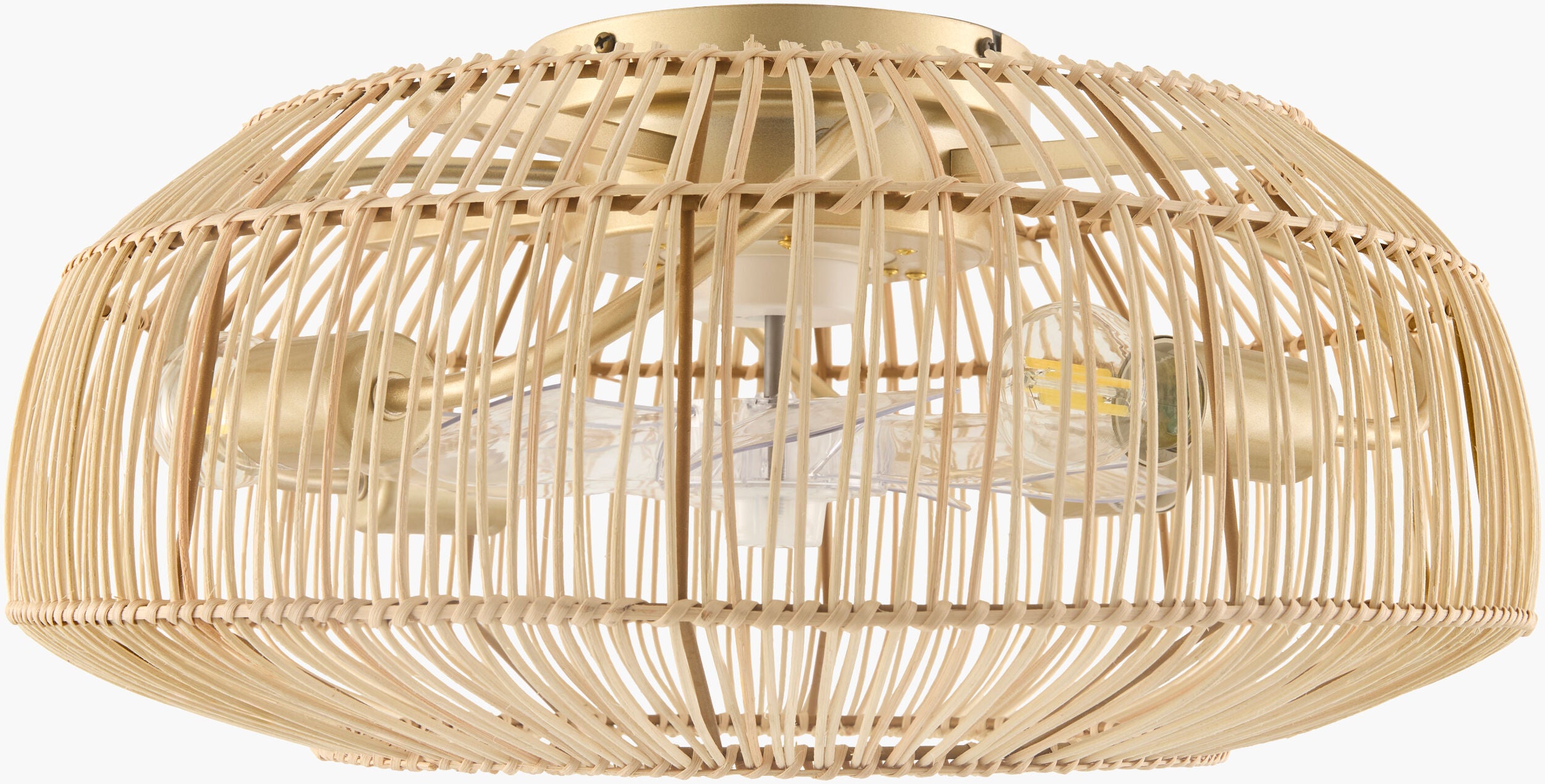 Windora Chandelier with a Fan