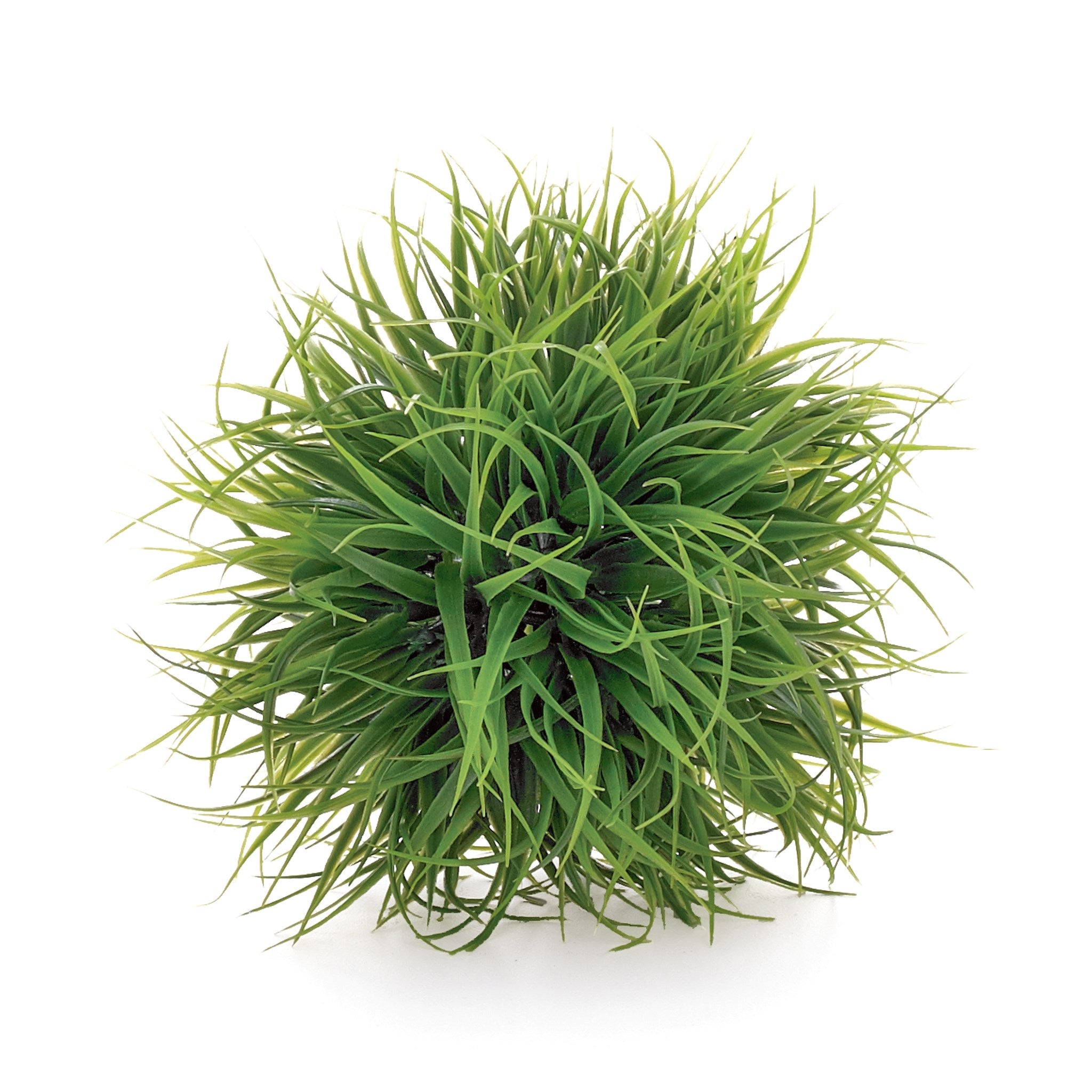 Grass Ball Medium