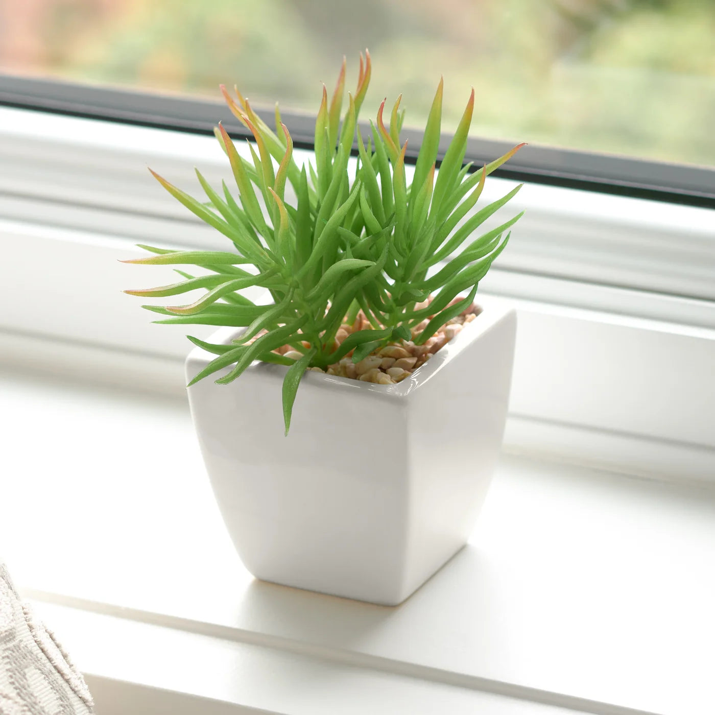 Tapered Mini Succuclent -Spike