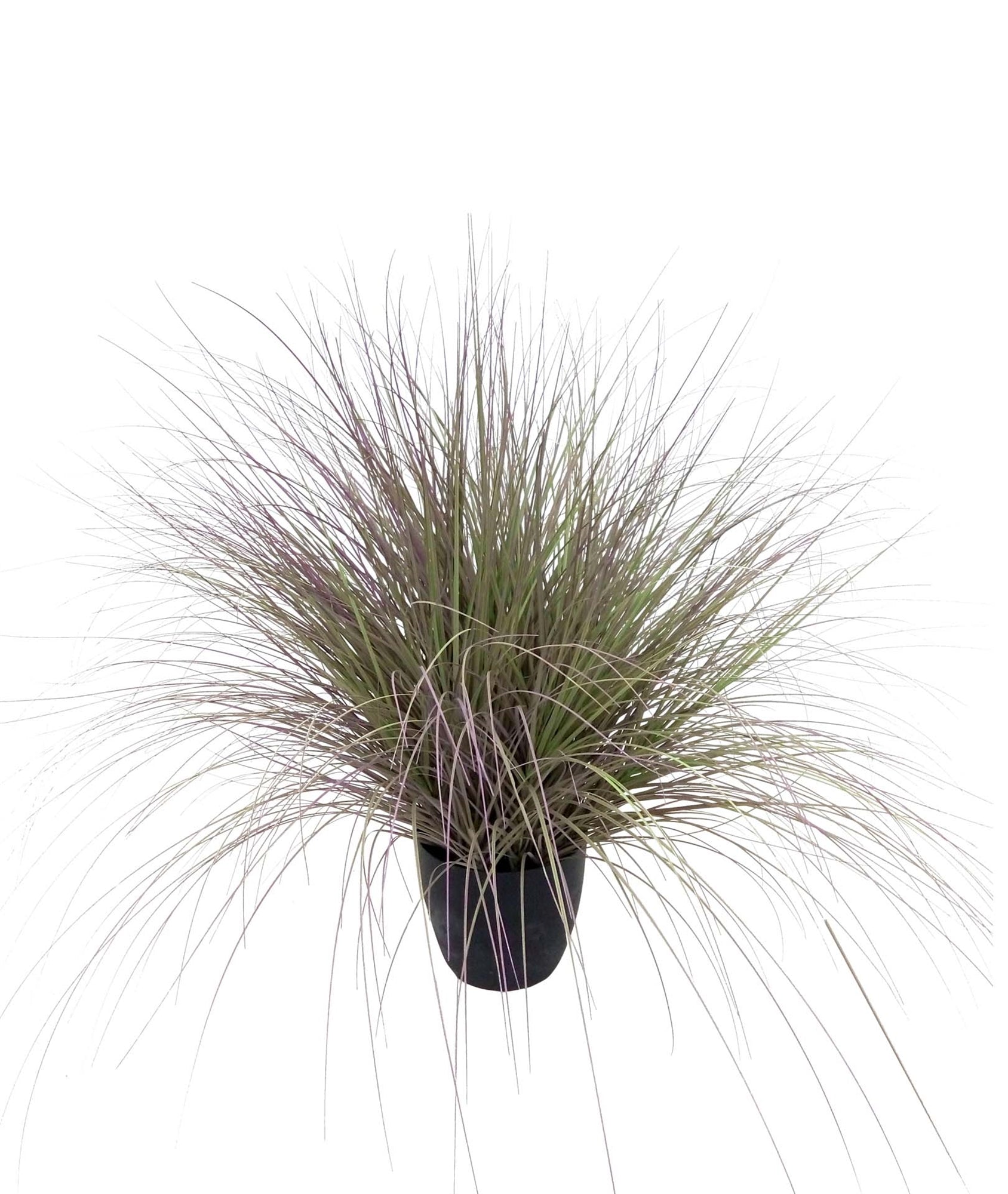 Faux Grass w/ Plastic Pot