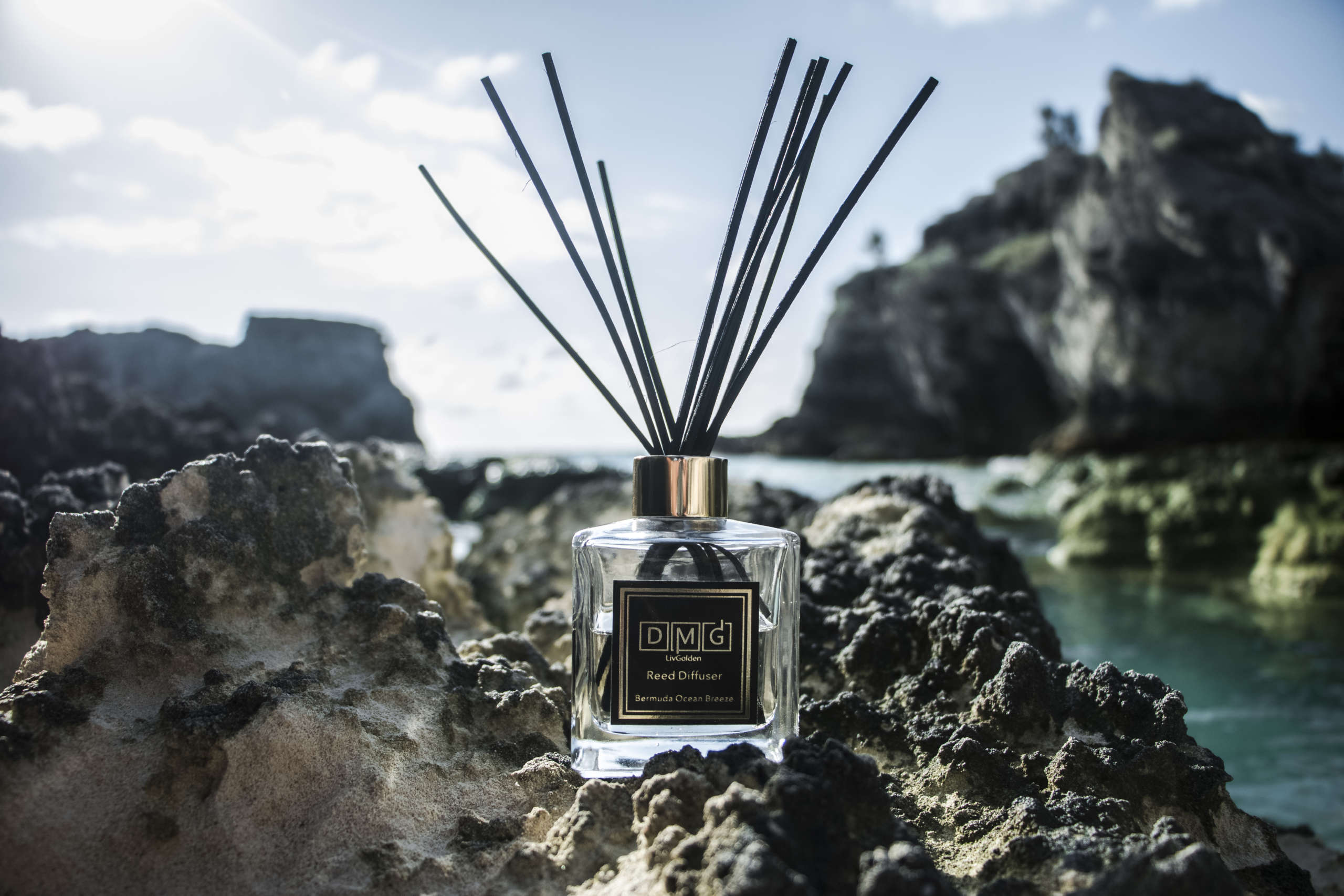 Bermuda Ocean Breeze Diffuser