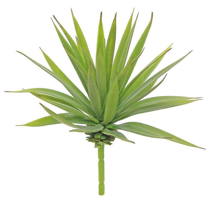 8" Marginata Succulent - Green