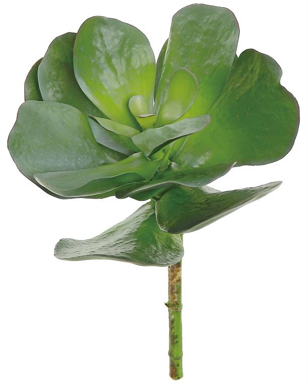 14" Paddle Leaf Succulent