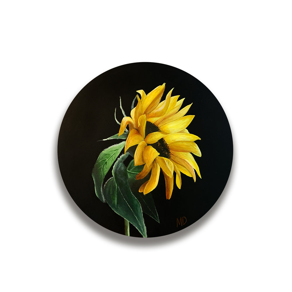 10"x10" Canvas -Lone Sunflower