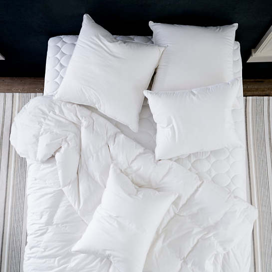 Mantra Down Alternative Euro Pillow Insert
