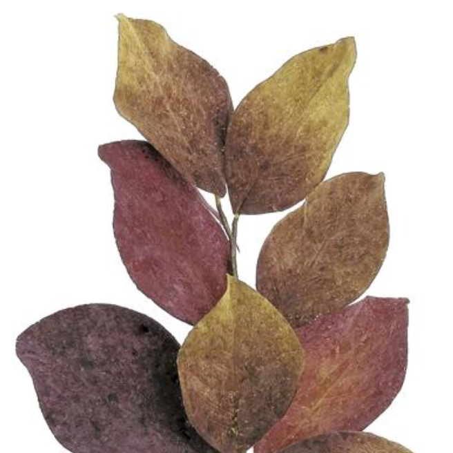 22" Rembrandt Magnolia Leaf Spray - Wine/Moss
