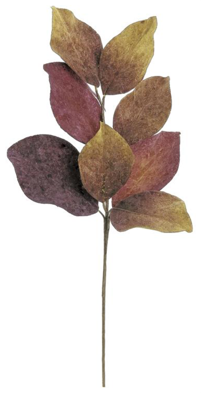 22" Rembrandt Magnolia Leaf Spray - Wine/Moss
