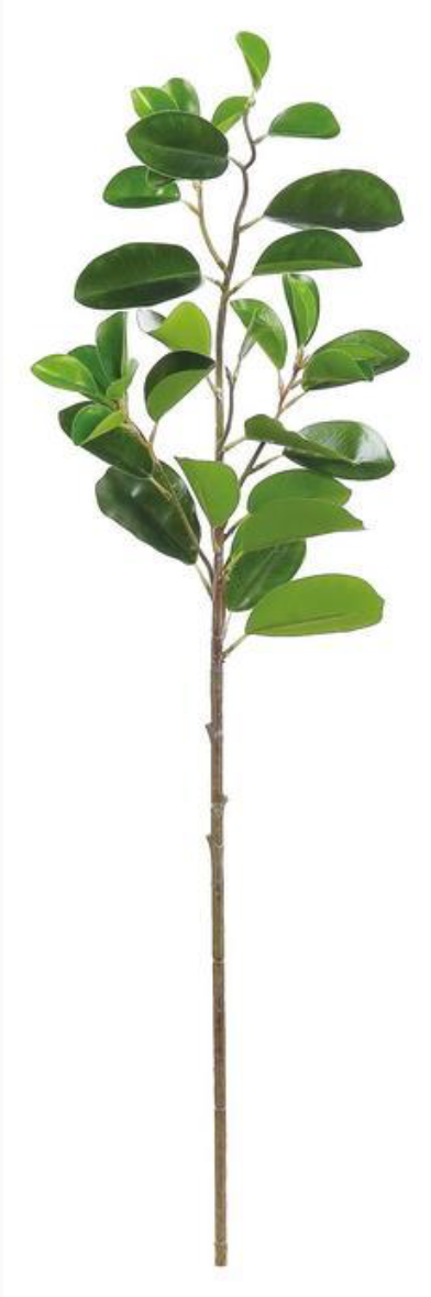 30" Paddle Ficus Leaf Spray
